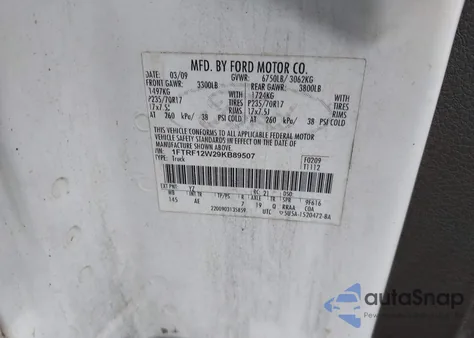 2009 Ford F150 from USA, damaged, VIN 1FTRF12W29KB89507